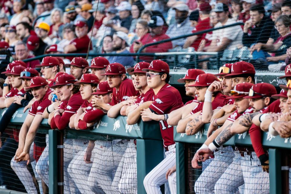 The Arkansas baseball dugout looks on during the first inning of the Hogs' 9-8 win over Texas Tech Tuesday, April 16, 2024.