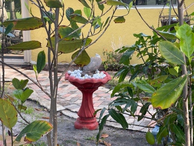 A Lone Pine neighbor filled their bird bath with stray golf balls.