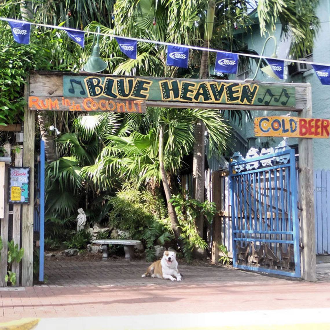Blue Heaven restaurant in Key West is located in the historic Bahama Village.