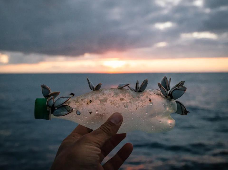 plastic pacific garbage patch swim