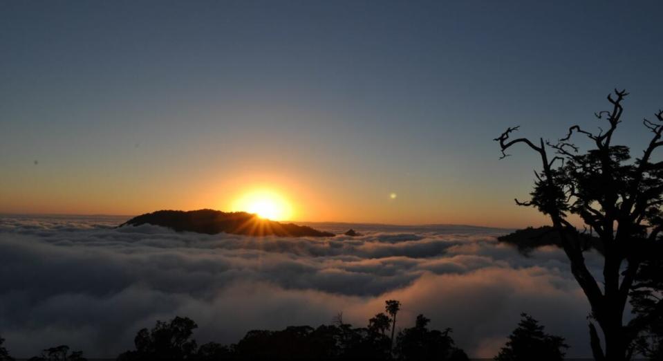 大雪山國家森林遊樂區適合生命靈數為1、7、8號的小寶貝們前來遊玩，他們獨立、好學且勇於表現，圖為大雪山森林遊樂區的夕陽。   圖：農業部林業及自然保育署／提供