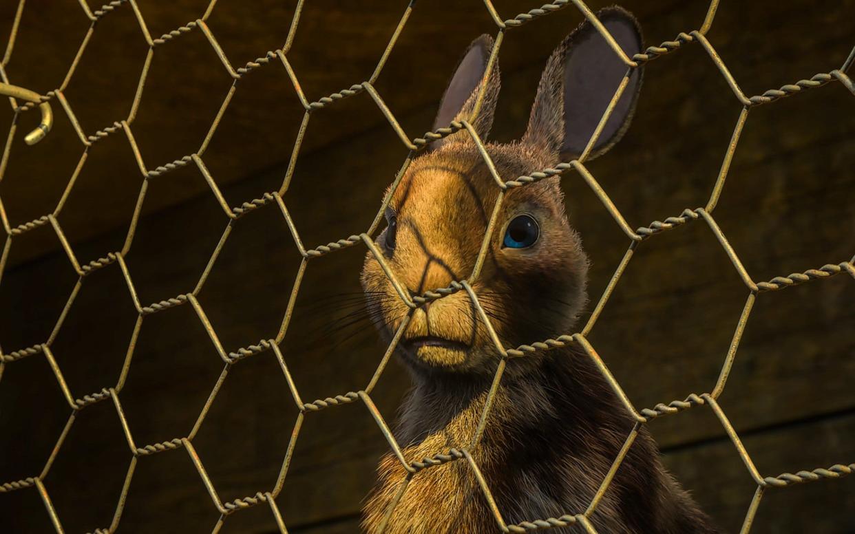 Gemma Arterton voices Clover in the BBC's new adaptation of Watership Down - 1