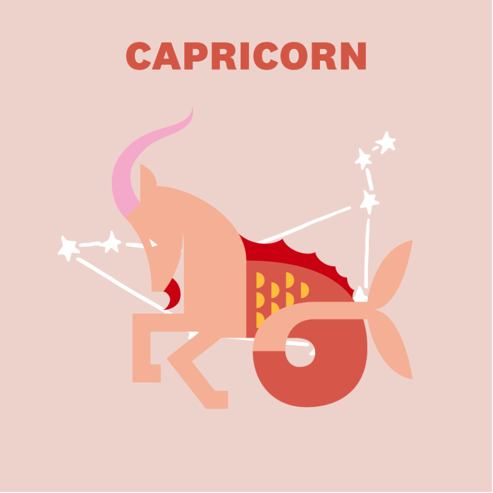 CAPRICORN (DECEMBER 22–JANUARY 19)