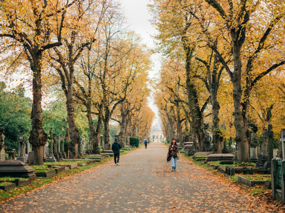 Brompton Cemetery (The Royal Parks)