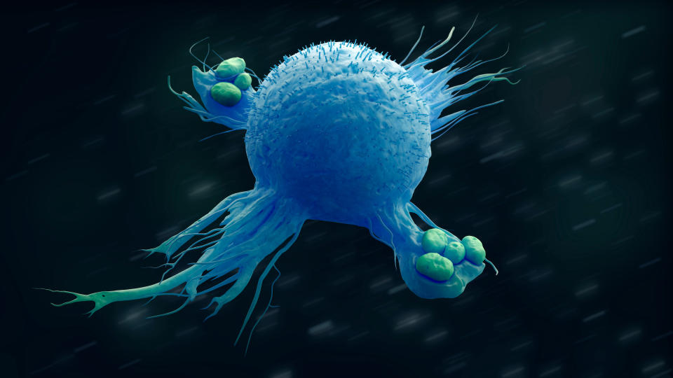 blue macrophage engulfing green things