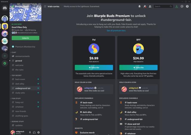 Is discord developer worth it? $25 