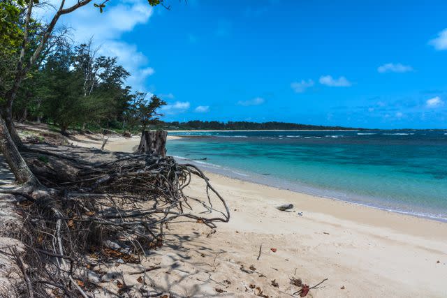 <p>Getty</p> A stock image of Mālaekahana Beach.