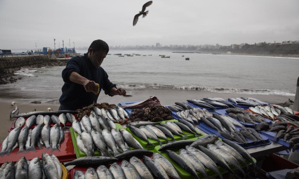 <span>Photograph: Rodrigo Abd/AP</span>