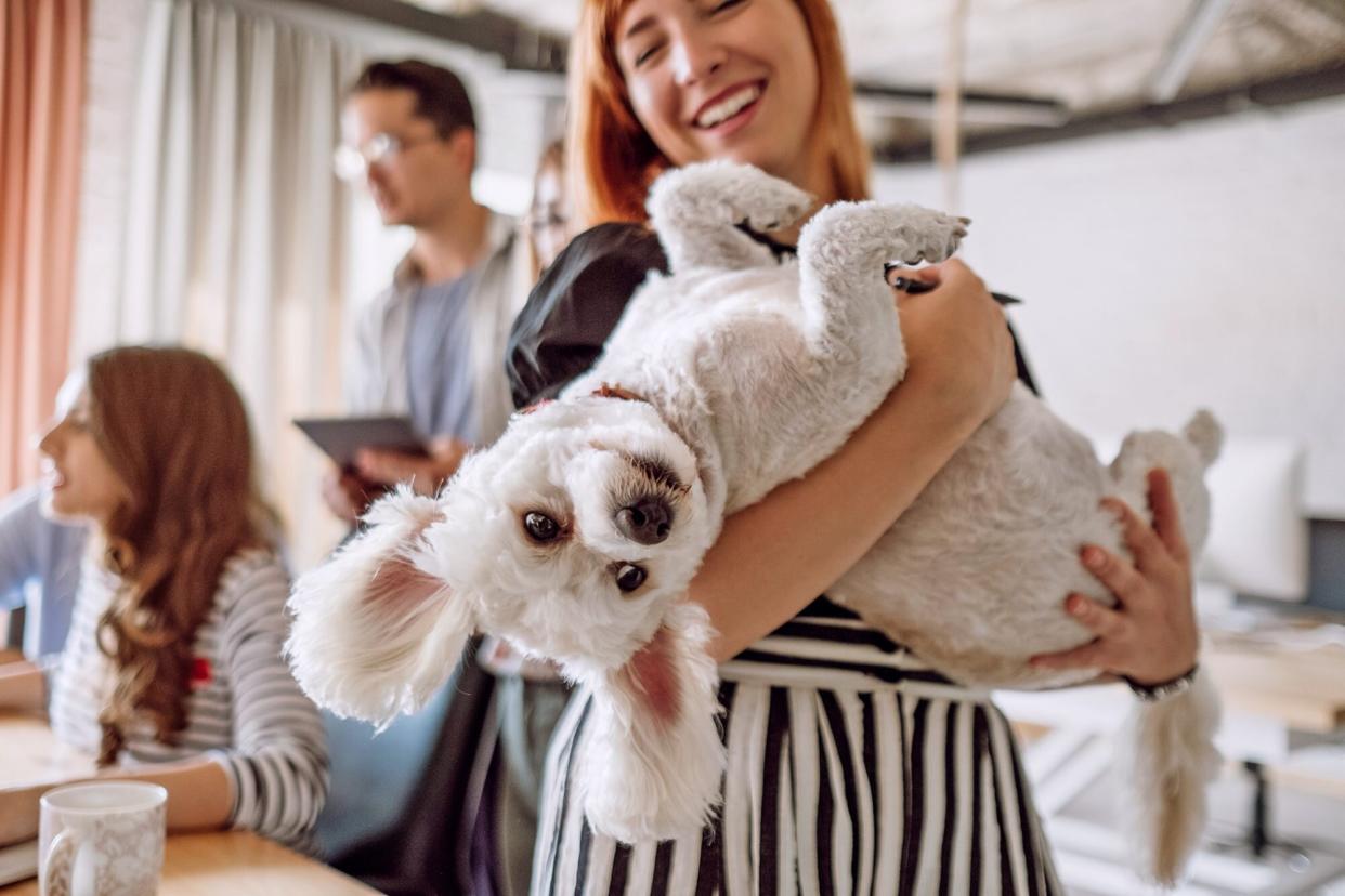 happy woman holding dog in an office setting