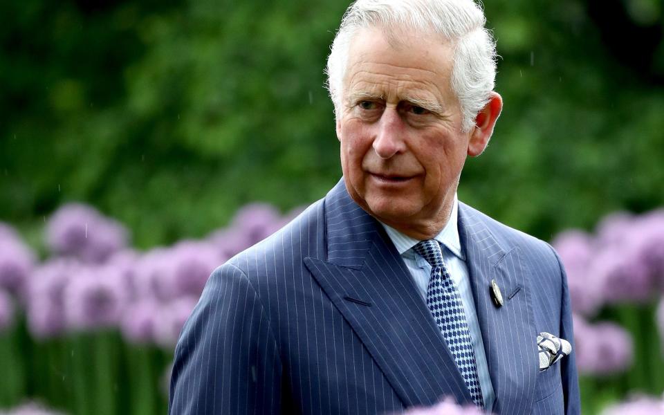 The Prince of Wales has once more come under fire over his views on homeopathy  - Getty Images Europe