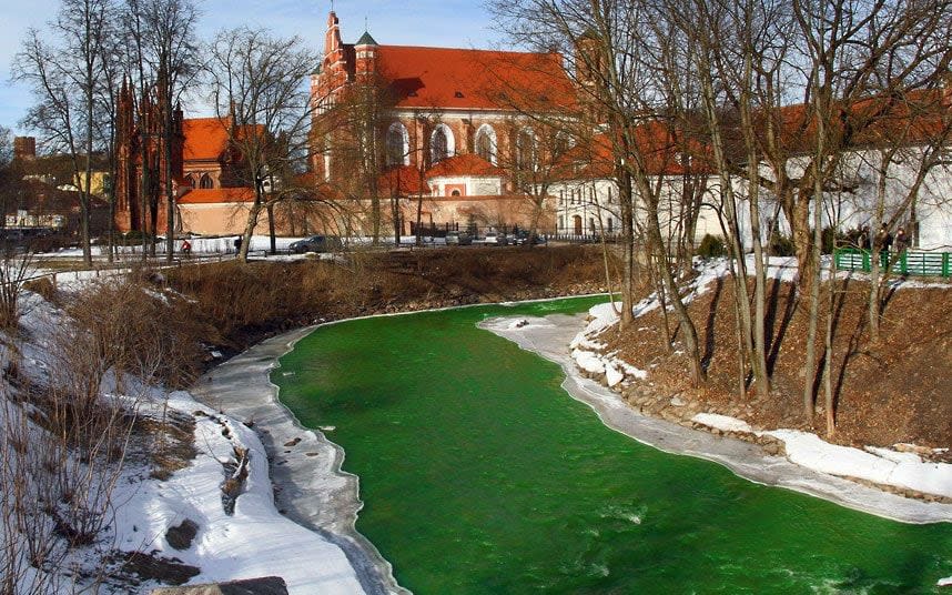 The river Vilnele in Vilnius, Lithuania is dyed green to celebrate St Patrick's Day - Credit: Petras Malukas/AFP/Getty Images