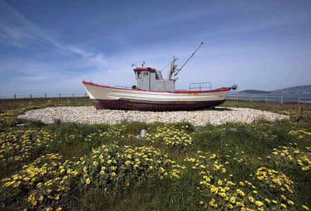 An old fishing boat decorates a garden next to a factory of Pescanova, a household local name that farms, catches and processes fish, in Baiona, northern Spain in this April 20, 2013 file photo. REUTERS/Miguel Vidal/Files