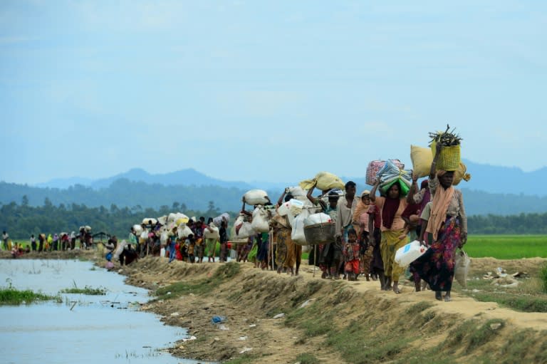 The UN, US and rights groups have accused Myanmar of carrying out a systematic ethnic cleansing campaign against the Rohingya