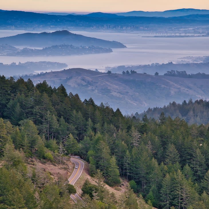 view from mt tam state park