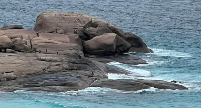 Въздушен изглед на скалата в Chapman's Point Esperance може да се види с хора, пръснати наоколо по черните скални петна.