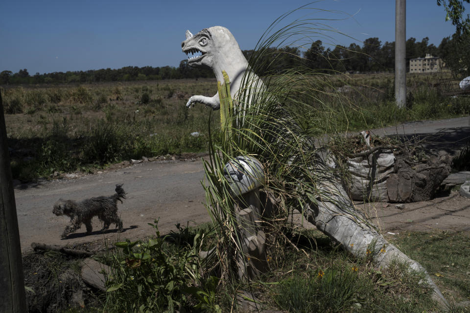 A dog walks past a sculpture of a dinosaur displayed in the front yard of bricklayer Daniel Niz, in the Sol de Oro neighborhood of Ezeiza, Argentina, Tuesday, Nov. 8, 2022. “My son wanted a rubber (dinosaur) and it was expensive, so I decided to make this out of recycled things and materials,” Niz said. He previously had the dinosaur on a patio inside his house but he decided to put it outside so people could take photos of the 1.2-ton structure. (AP Photo/Rodrigo Abd)