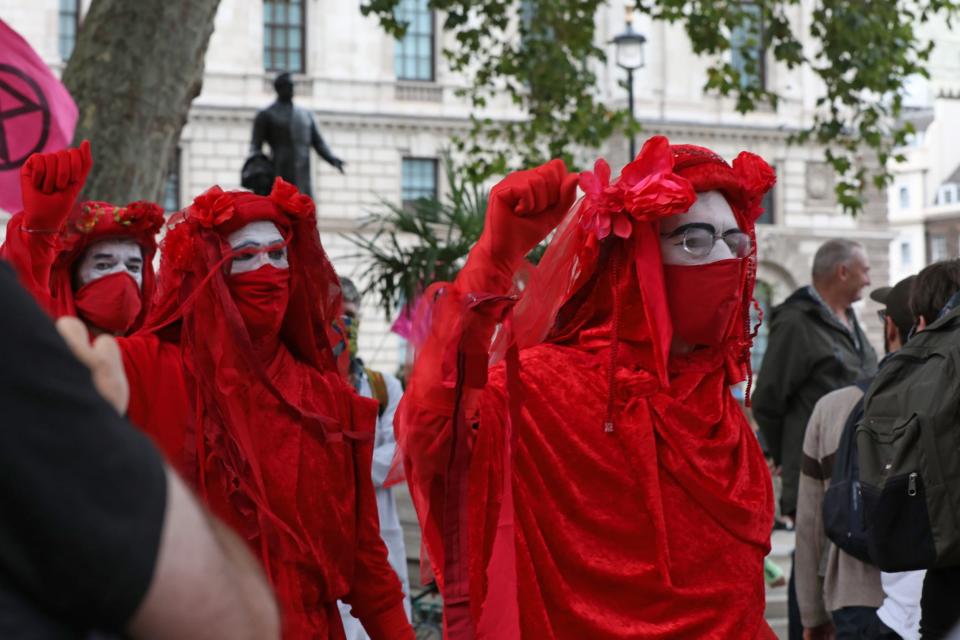 The group have organised two weeks of protests and civil disobedience (PA)