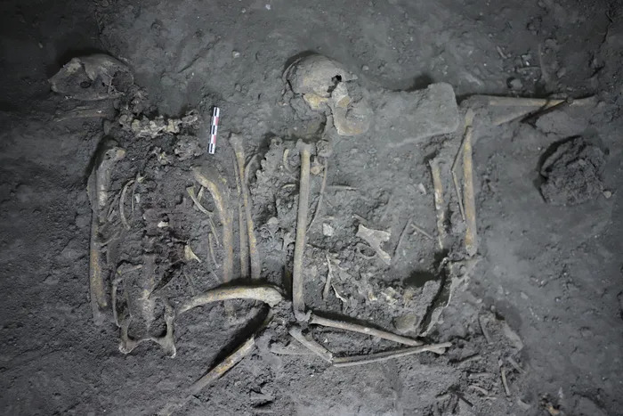 The skeleton of a 1,700-year-old spider monkey found in Teotihuacán.