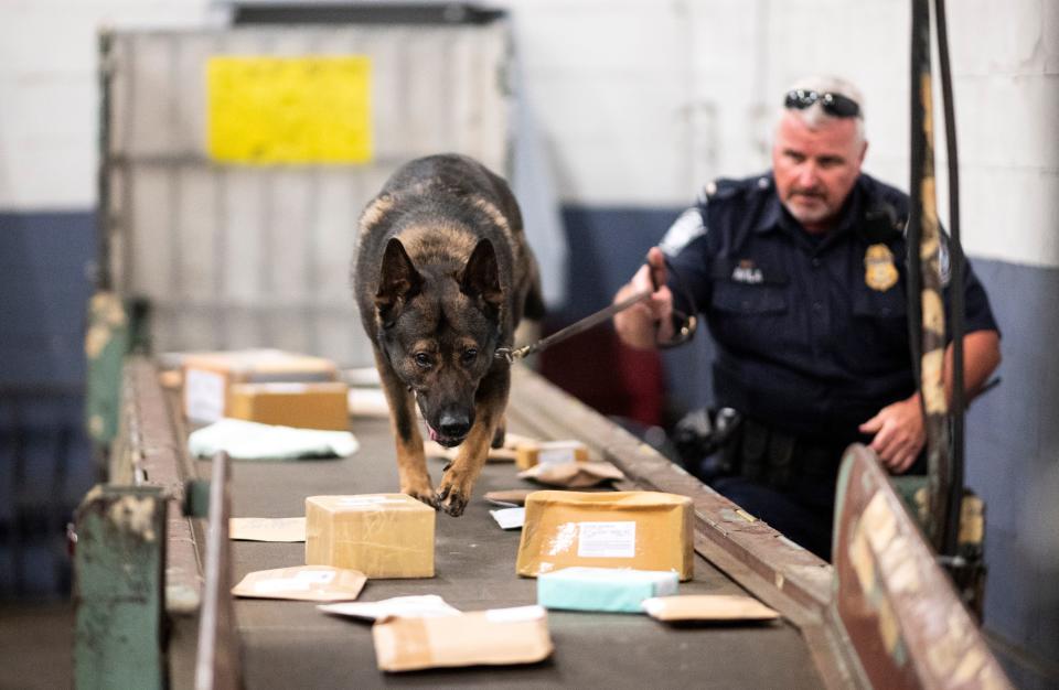 An officer from the Customs and Border Protection, Trade and Cargo Division works with a dog to check parcels at John F. Kennedy Airport's US Postal Service facility on June 24, 2019 in New York. - In a windowless hangar at New York's JFK airport, dozens of law enforcement officers sift through packages, looking for fentanyl -- a drug that is killing Americans every day. The US Postal Service facility has become one of multiple fronts in the United States' war on opioid addiction, which kills tens of thousands of people every year and ravages communities. (Photo by Johannes EISELE / AFP) (Photo by JOHANNES EISELE/AFP via Getty Images)