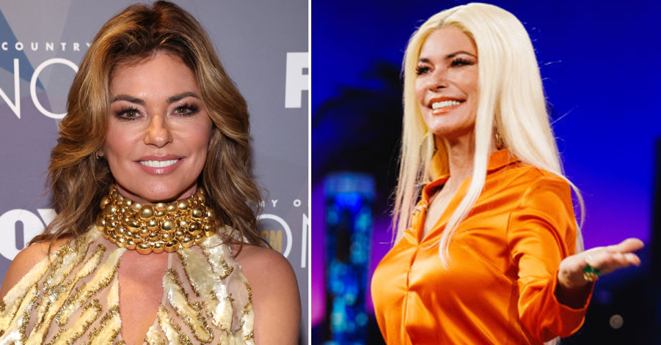 Shania Twain with brown hair (left) and bleached blonde hair (right). 