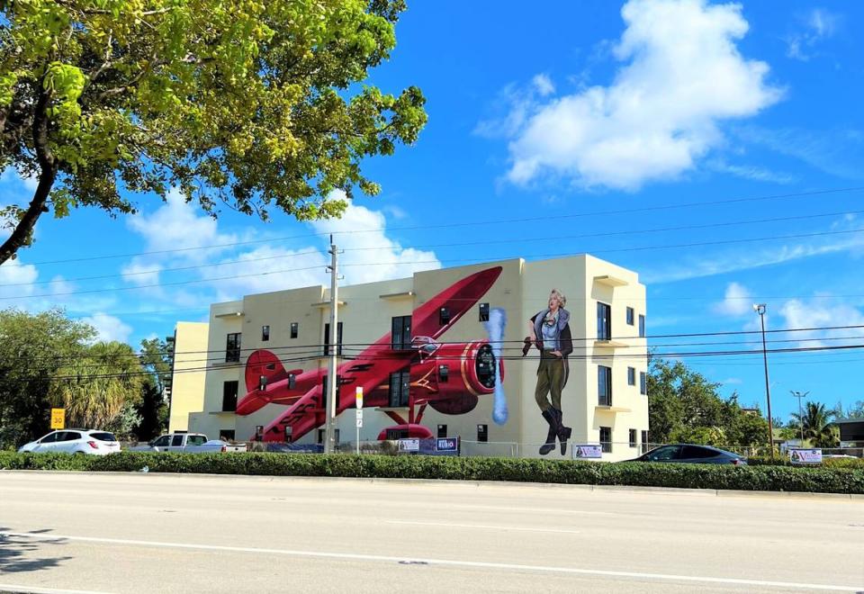 Painting of the aviator Amelia Earhart at the beginning of the Amelia District, located to the west of the park, which borders Hialeah. The artist in charge of the work is Eric Alfaro.