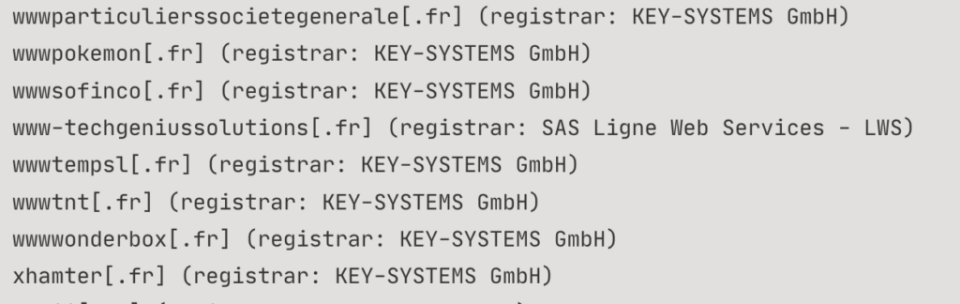 Un exemple de noms de domaines frauduleux repérés par Nicolas Pawlak. // Source : Red Flag Domains