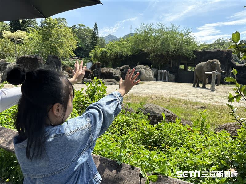 （上圖）小芝看到喜歡的大象非常興奮，還可愛地和大象揮揮手；（下圖）羅慧夫顱顏基金會公關黃柏儒與社工、其他顱顏孩子陪著小芝一家逛動物園。（圖／記者張雅筑攝）
