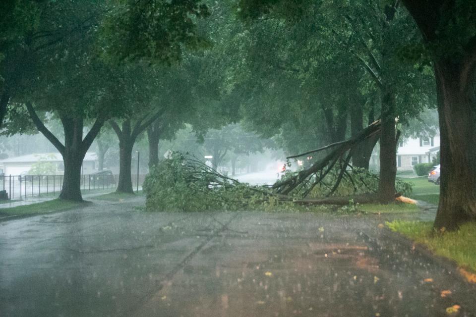 Large tree branches on Thorndale Street due to storm damage on June 15, 2022, in Green Bay, Wis.