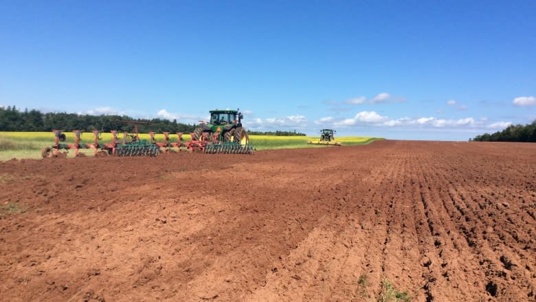 Island farmers plant more mustard in battle against wireworm