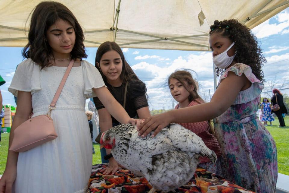 Children pet a hen at the Eid al-Fitr Festival hosted by the Milwaukee Muslim Women’s Coalition at 815 W. Layton Ave. on Thursday, May 13, 2021.