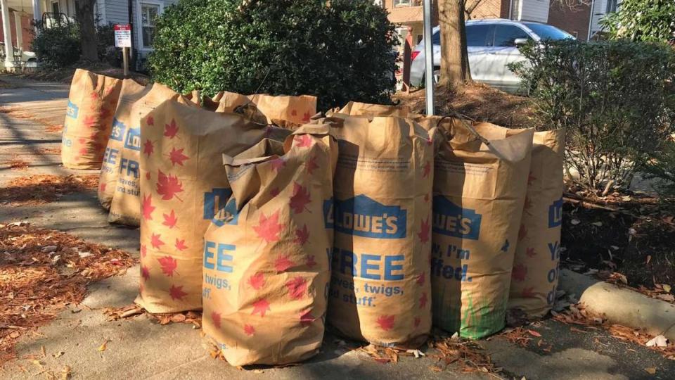 Yard waste paper bags.