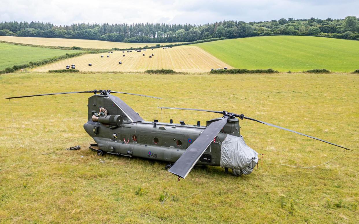 Stranded Chinook