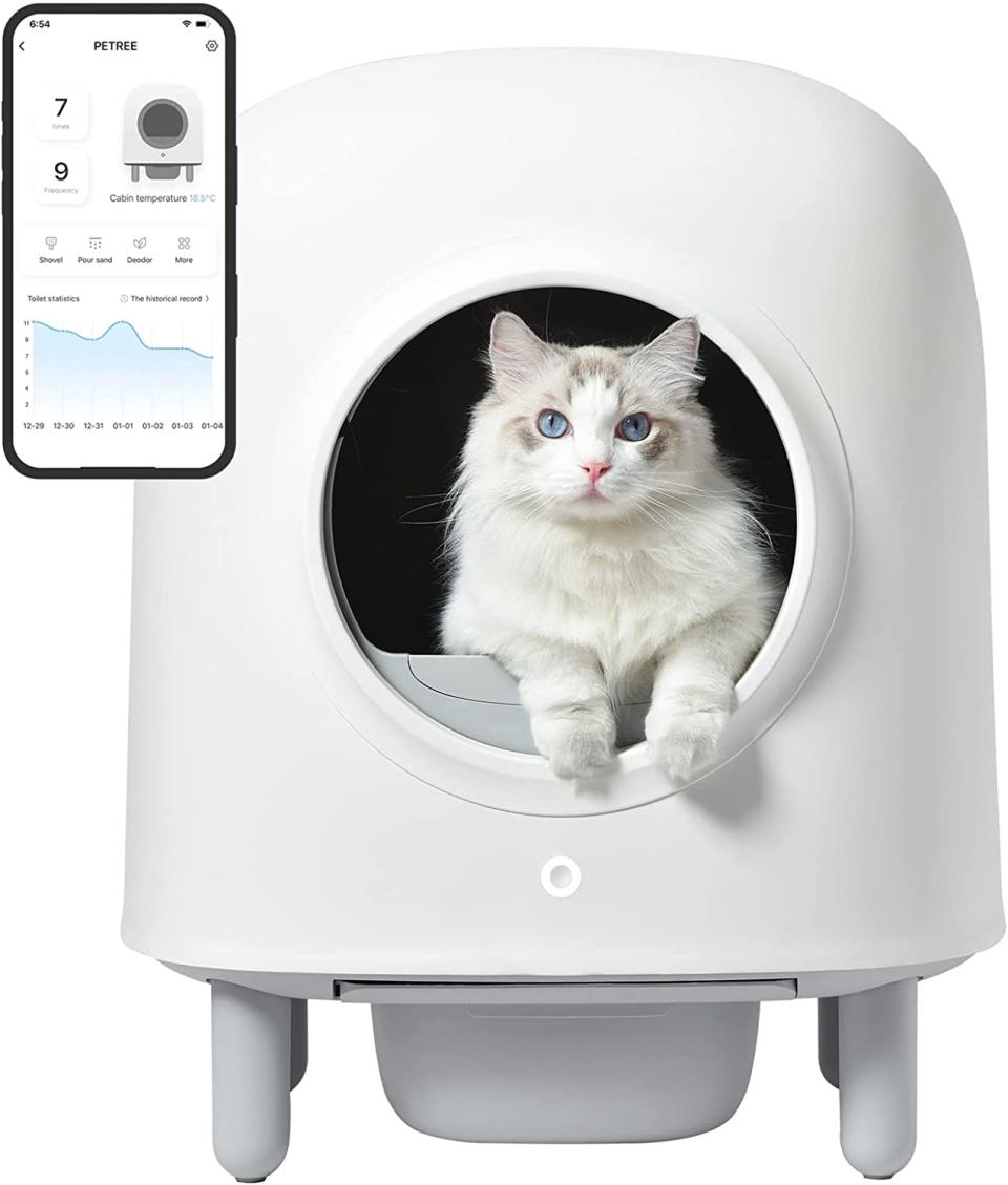 automatic cat litter box