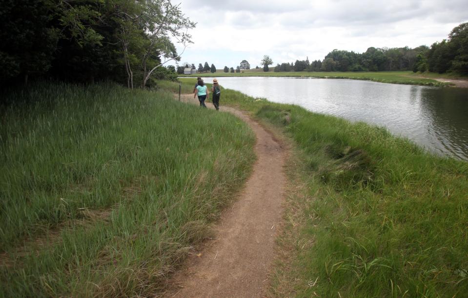 Along the Nauset Marsh Trail in Eastham.