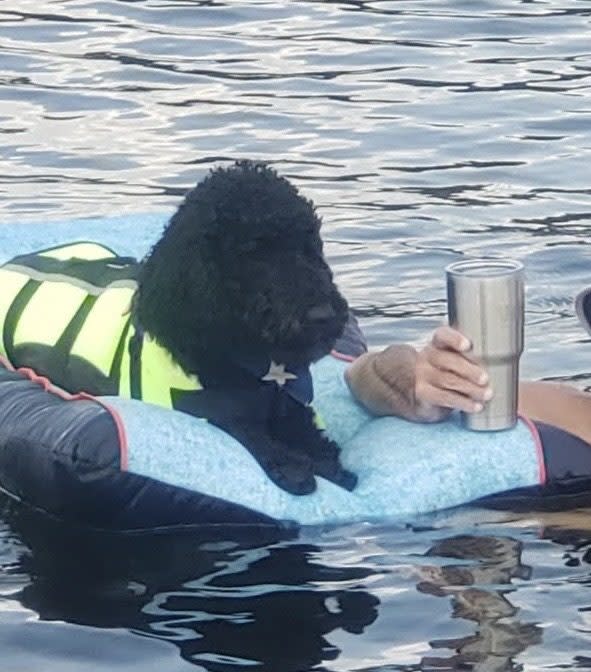 “Our floating noodle poodle,” Max the dog! From Joni McKinnon of KTAB