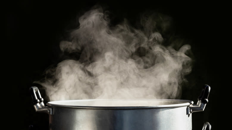Steaming pot