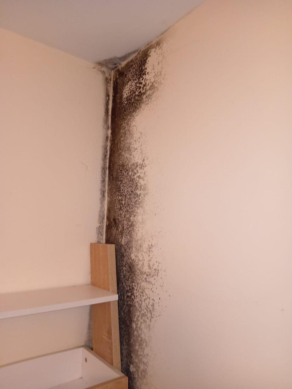 Mould covered the wall in the family's flat. (Image supplied)