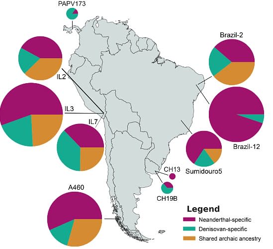 Mapa de rastros genéticos neandertales, denisovanos y otros no definidos