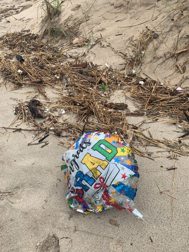 Although balloons make up only a small portion of plastic pollution, they are among the deadliest for wildlife.