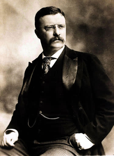 Theodore Roosevelt