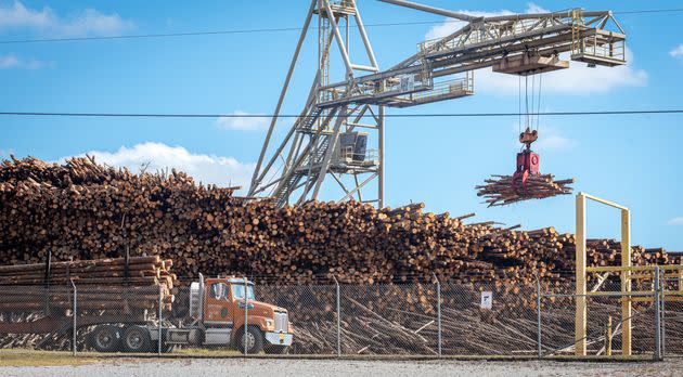 Drax Biomass, a multinational woodchip production company, operates a facility in Gloster that produces woodchips for the British heating market. Local residents are at odds with each other over the plant, which some say is making them sick, while others support the economic stability provided to local loggers who sell to the plant. (Photo: Timothy Ivy for HuffPost)