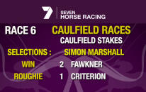 Race 6 - Selection number 2 Fawkner, Roughie number 1 Criterion.