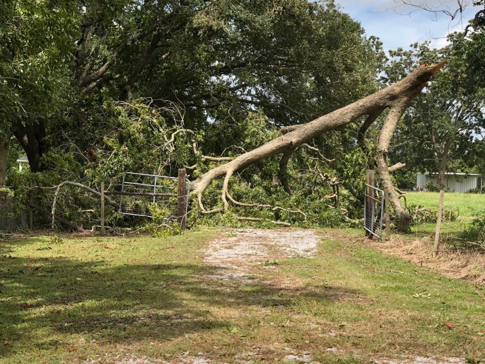 Hurricane Laura's aftermath in Lafayette, Louisiana, in August 2020.