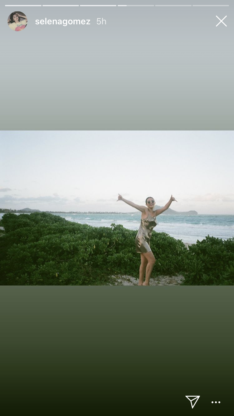 Photo credit: Selena Gomez - Instagram