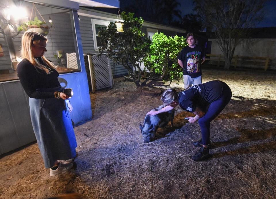 Homeowner Kristi Stewart (center) checks on one of her two pet pigs in her backyard with her son Michael DelVecchio (right), and sister Cassandra Murray (left), on Friday in the Indian River Estates neighborhood in Fort Pierce. Murray, 21, is renting a converted garage bedroom in Stewart's home because she said there's a lack of affordable rental apartments on the Treasure Coast.