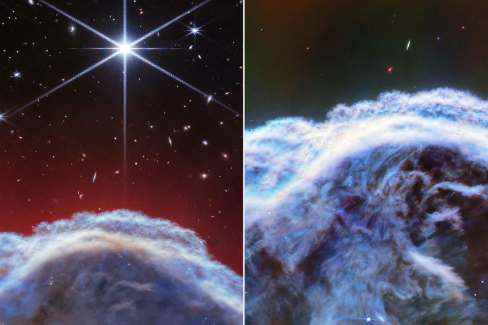 <p>NASA</p> Horse-Shaped Nebula