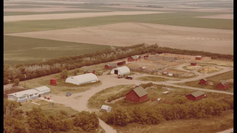 An aerial image from the 1980s of Heeg's farm in Acadia Valley.