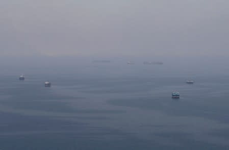 FILE PHOTO: Traditional boats known as dhows and cargo ships are seen sailing towards the Strait of Hormuz