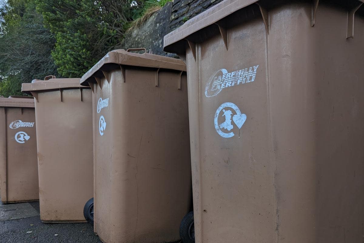 General picture of Caerphilly Council bins. Credit: LDRS