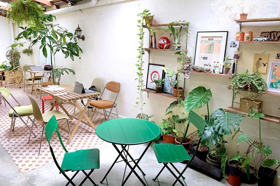 A cosy space, filled with plants and natural light.
